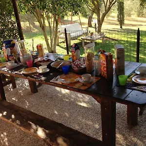 Bed & Breakfast Affittacamere Artemisia, Magliano in Toscana
